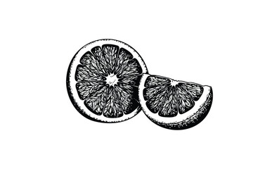 Detailed black and white line art of a halved grapefruit slice. Vector retro hand drawn illustration.