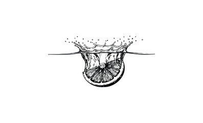 Sliced lemon splashing into water: detailed black and white sketch. Vector retro hand drawn illustration.
