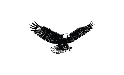 Obraz premium Majestic bald eagle in flight with wings spread wide. Vector retro hand drawn illustration.
