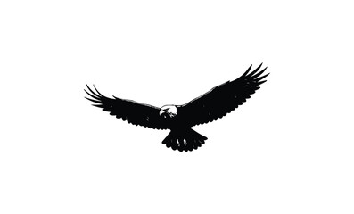 Obraz premium Silhouette of a majestic eagle in flight on white background. Vector retro hand drawn illustration.
