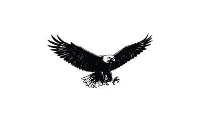 Fototapeta premium Black and white illustration of an eagle in mid-flight. Vector retro hand drawn illustration.