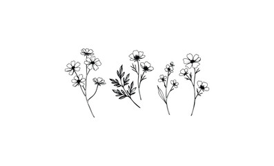 Minimalist black and white floral sketch of various wildflowers and leaves. Vector retro hand drawn illustration.