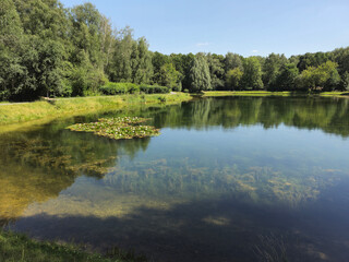 lake blue sky green trees and grass