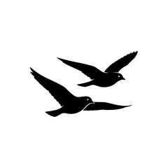 Flying dove silhouette symbol of peace on white background
