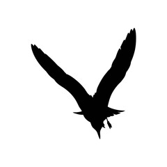 Fototapeta premium Black headed eagle in flight silhouette vector illustration