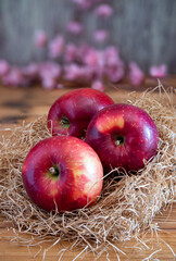 Fresh red apples resting in cardboard box on wooden table