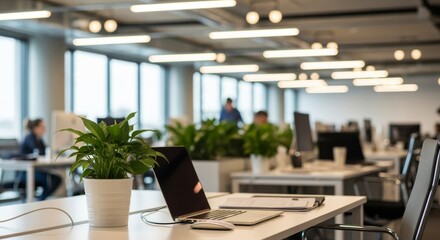 Blurred bokeh lights enhance the modern business feel in this open space office with a wooden table.