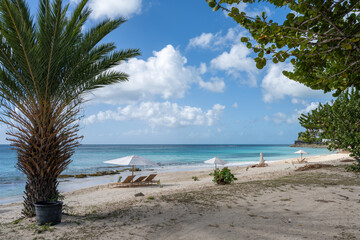 Idyllischer Strand in der Karibik auf Antigua mit Palmen