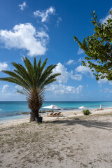 Idyllischer Strand in der Karibik auf Antigua mit Palmen