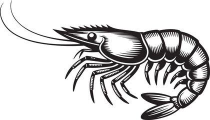 Detailed Shrimp Vector Illustration in Monochrome Style Seafood Artwork