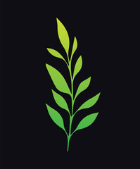 Minimal feminine botanical floral branch in silhouette style. Hand drawn wedding herb, minimalistic flowers with elegant leaves. Botanical rustic trendy greenery Vector