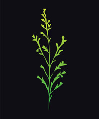 Minimal feminine botanical floral branch in silhouette style. Hand drawn wedding herb, minimalistic flowers with elegant leaves. Botanical rustic trendy greenery Vector