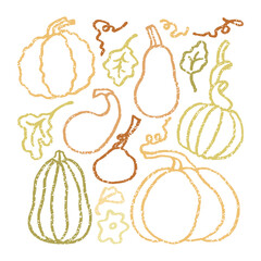 Collection of cute linear pumpkins. Autumn sticker set in simple style.