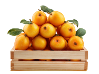 A vibrant collection of fresh medlars, their golden hues glowing within a rustic wooden crate