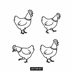 Obraz premium Hen vector set