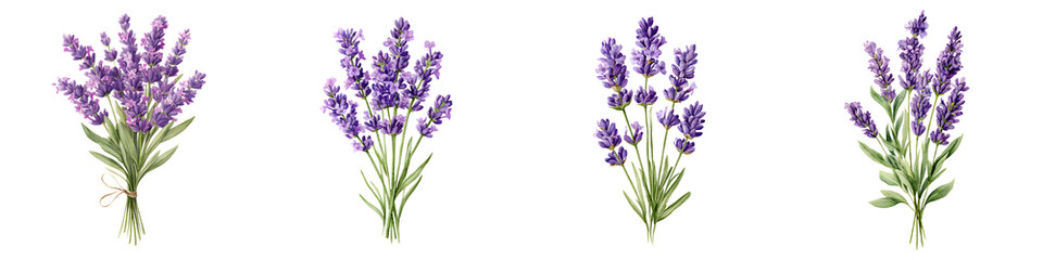 Naklejka premium Lavender Flower Bouquets: Aromatic Purple Floral Collection