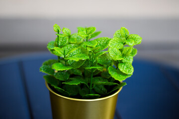 Close-up of a realistic artificial green plant in a small golden pot, placed on a dark blue...