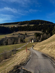 Fototapeta premium road in the mountains