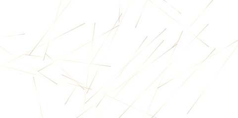 Abstract background with lines. Golden lines on White paper. Line wavy abstract vector technology line pattern background.