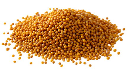 Heap of Yellow Mustard Seeds on Clear Background