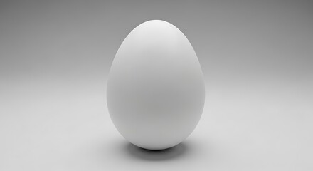 White Egg On Light Grey Background