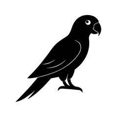 bird on a white background