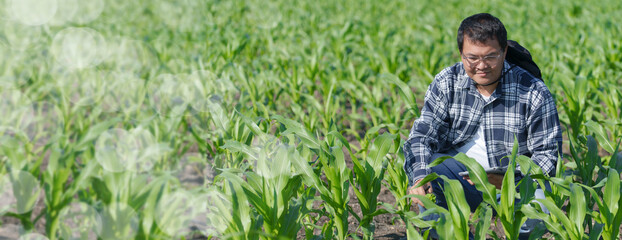 A male agronomist is using technology in a corn field. A corn farmer is examining his corn with a...
