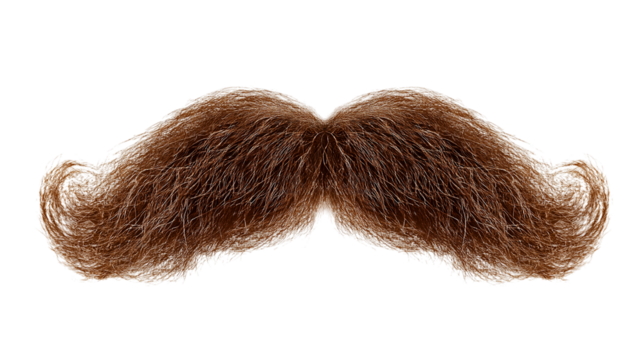 Detailed Brown Mustache