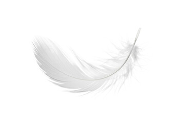 A pristine, transparent feather with delicate barbs and fluffy down, gently floating at a high angle against a seamless bright white background with copy space, studio lighting, macro photography,