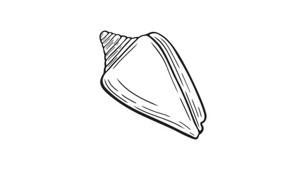 Coastal marine cone seashell line drawing icon. Minimal doodle tropical sea shell.