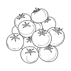 Illustrated cluster of fresh tomatoes in black and white line art style – stock vector icon in line style