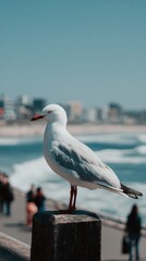 Obraz premium Seagull perched on a post overlooking the ocean.