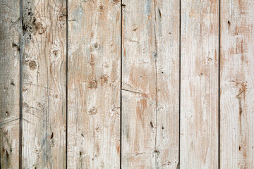Aged wooden planks with faded white paint create a rustic textured background, evoking vintage charm and warm natural atmosphere.
