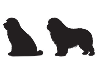 BEARDED COLLIE DOG SILHOUETTE