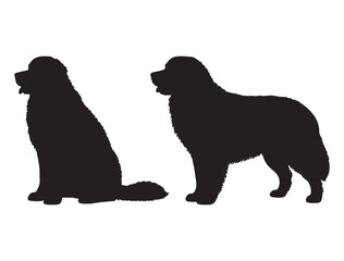 BERNESE MOUNTAIN DOG SILHOUETTE