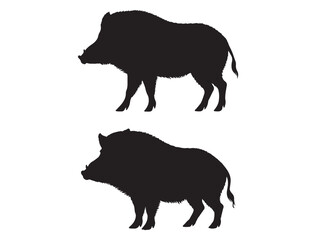 Fototapeta premium BOAR SILHOUETTE