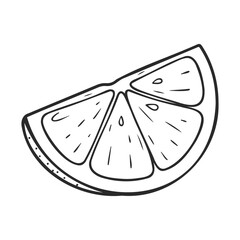 Black and white illustration of a citrus lemon slice – stock vector icon in line style