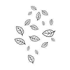 Obraz premium Minimalistic black and white leaf pattern on white background – stock vector icon in line style