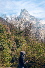 Photo from the back of a woman standing with the Machapuchare peak covered by snow on top in the background, Mardi Himal trek, Nepal. There are many trees on the hill. Idea for a nature background.