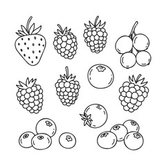Outline of various berries: strawberries, raspberries, blueberries, blackberries, redcurrants &ndash; stock vector icon in line style