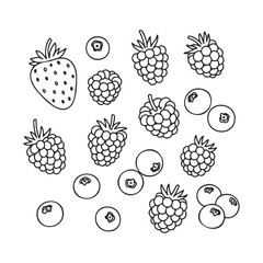 Outline drawing of berries including strawberries, raspberries, and blueberries &ndash; stock vector icon in line style