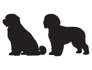 COTTON DE TULEAR DOG SILHOUETTE