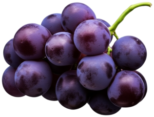 A cluster of dark grapes against a white background, transparent background png