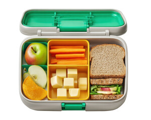 Balanced Diet in Colorful Lunchbox