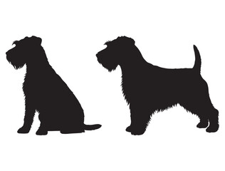 GLEN OF IMAAL DOG SILHOUETTE