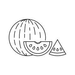  Watermelon fruit slice summer tropical food juicy seed freshness icon vector illustration for healthy diet kitchen organic sweet refreshment.