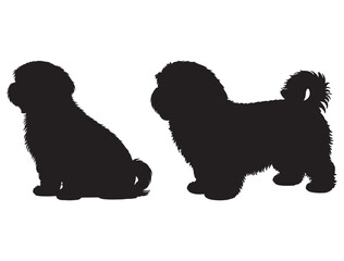 HAVANESE DOG SILHOUETTE