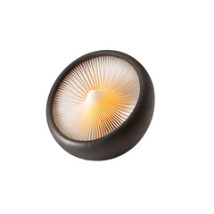 Close up of a dark brown mushroom cap with white gills and a warm yellow glow isolated on a transparent background