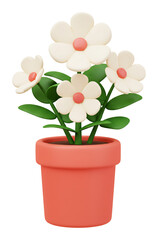 可愛い白い花 元気な鉢植え