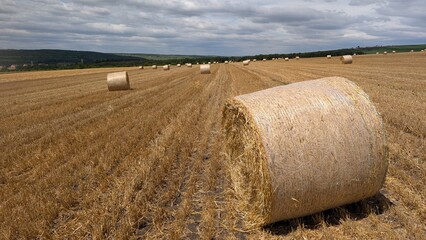 Bales of Hay Found in a Serene Agricultural Landscape Amidst Rolling Fields and Sunny Skies